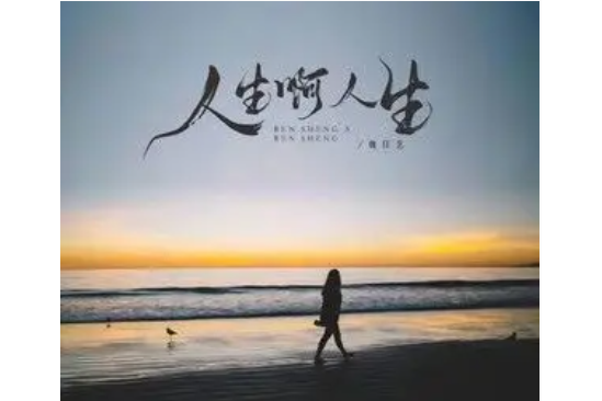 人生啊人生(魏佳藝演唱的歌曲) 人生啊人生(魏佳藝演唱的歌曲)