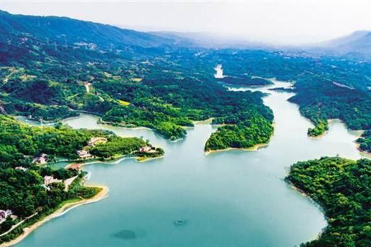 迎龍湖水庫 迎龍湖水庫
