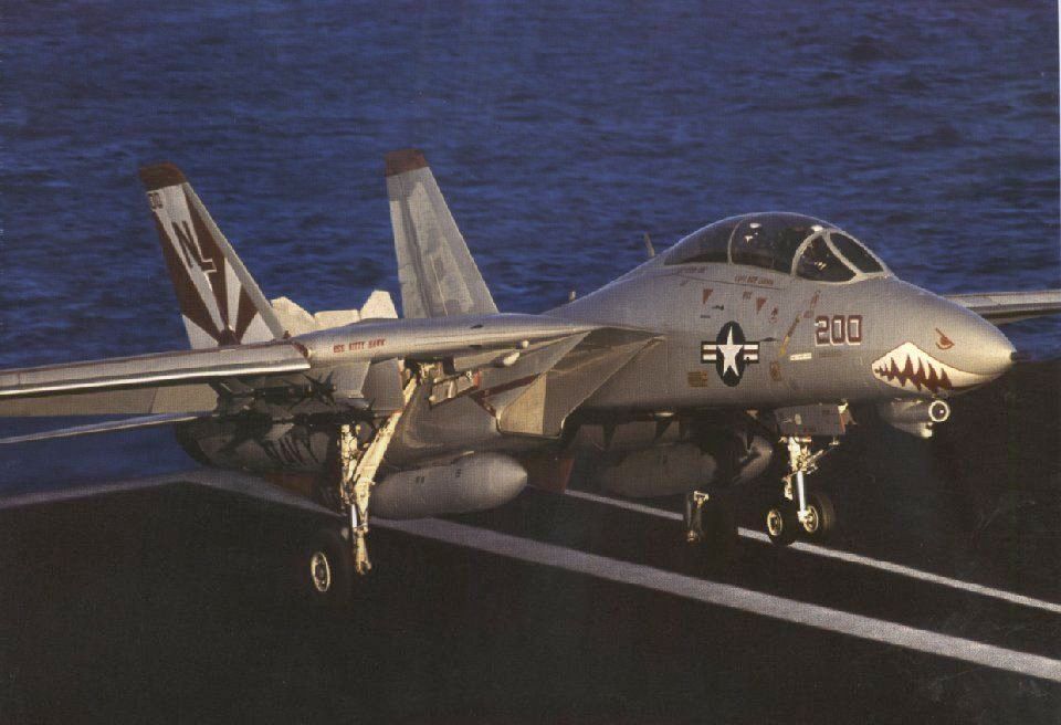 VF-111中隊的F-14A(高視塗裝)