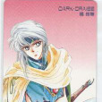 銀髮騎士 銀髮騎士