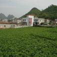 茂林屯村 茂林屯村