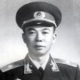 曾雍雅 曾雍雅