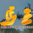 丐王 丐王