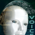 Voice Chat Voice Chat