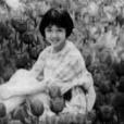 陳麗曲 陳麗曲
