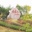 凌家山(武漢凌家山)