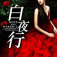 白夜行(斷字威尼斯創作網路小說) 白夜行(斷字威尼斯創作網路小說)