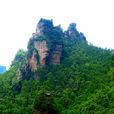 雄山 雄山