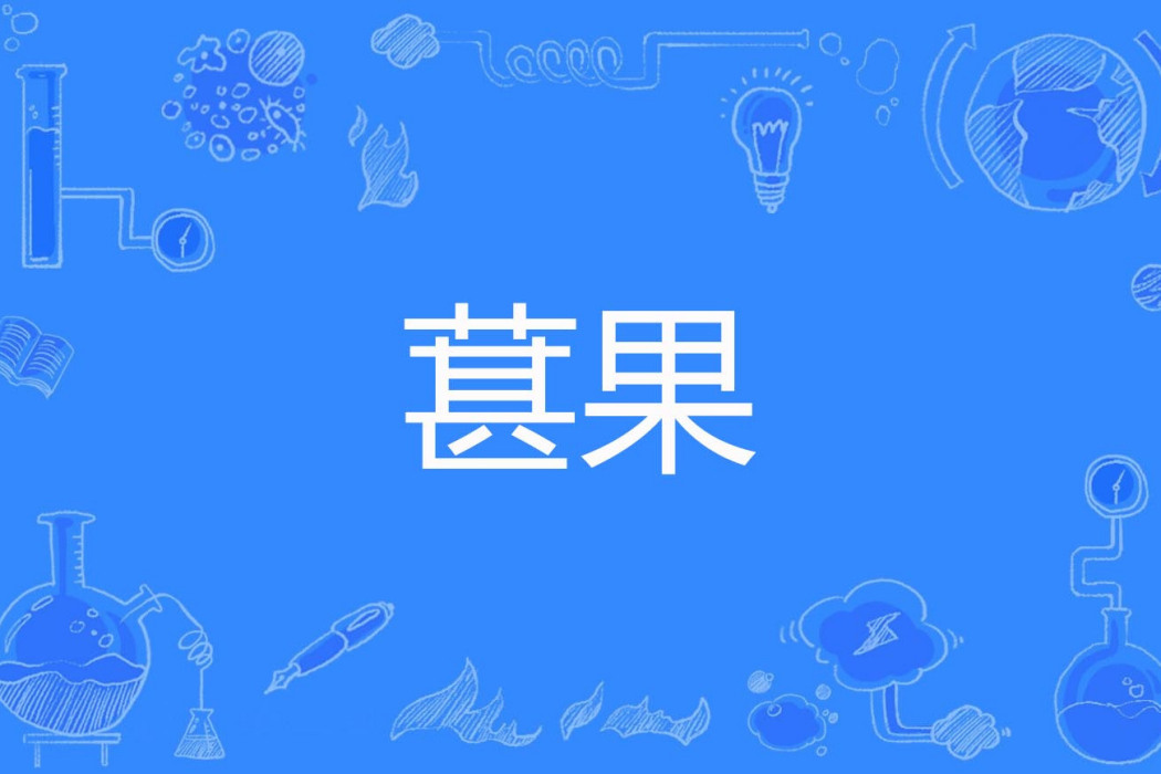 葚果 葚果
