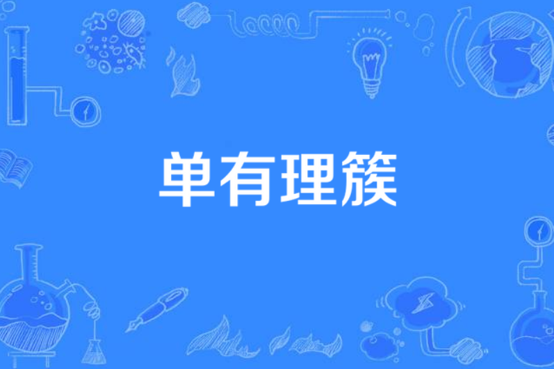 單有理簇 單有理簇