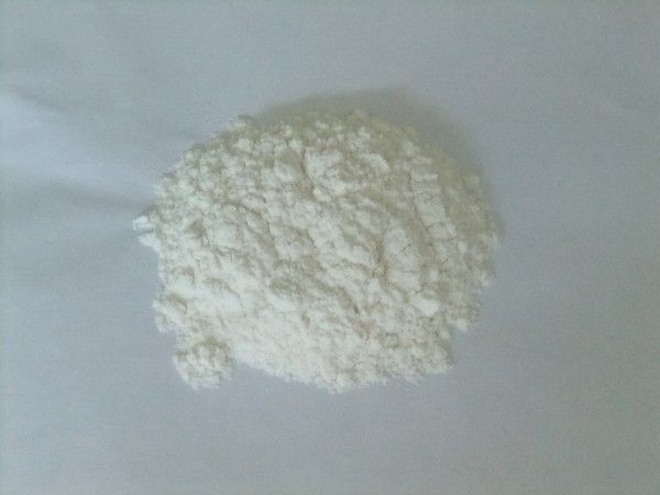 4-MAIMASU麥麻素 4-MAIMASU麥麻素