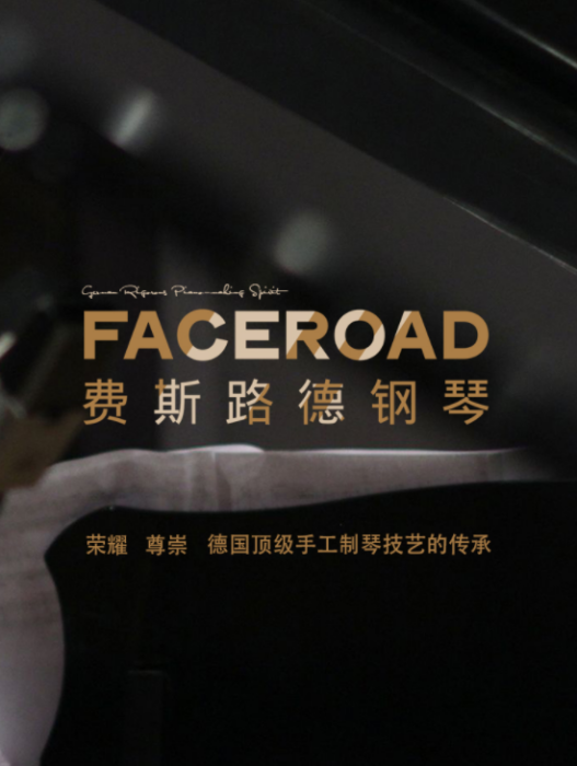 費斯路德FACEROAD 費斯路德FACEROAD