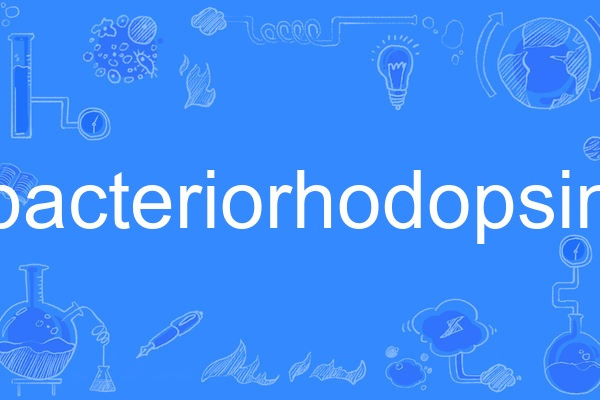 bacteriorhodopsin bacteriorhodopsin