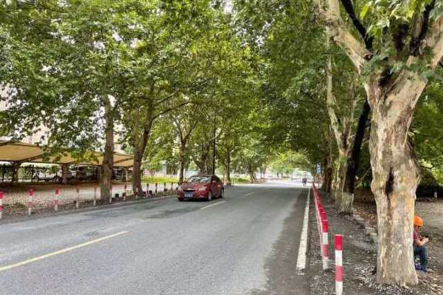 荊山中路 荊山中路