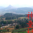 神童村 神童村
