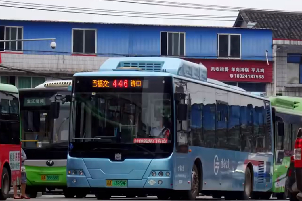 重慶公交446路 重慶公交446路