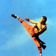 陰拳 陰拳