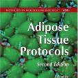 Adipose Tissue Protocols(Yang, Kaiping著圖書) Adipose Tissue Protocols(Yang, Kaiping著圖書)