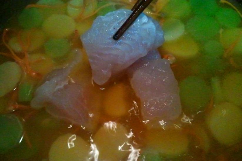 蟲草尤利魚