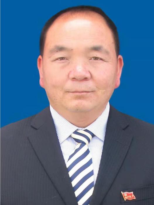 王平(西藏自治區山南市曲松縣人民政府副縣長、二級調研員)