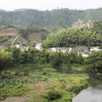 桃源村(安徽省黃山市黟縣漁亭鎮下轄村) 桃源村(安徽省黃山市黟縣漁亭鎮下轄村)