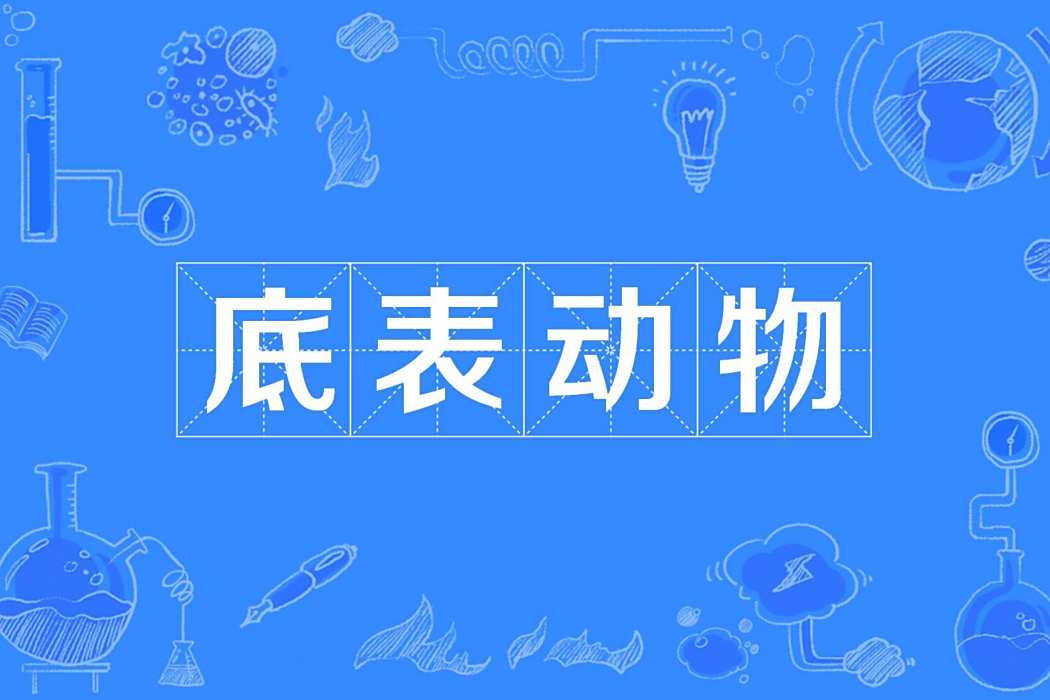 底表動物 底表動物