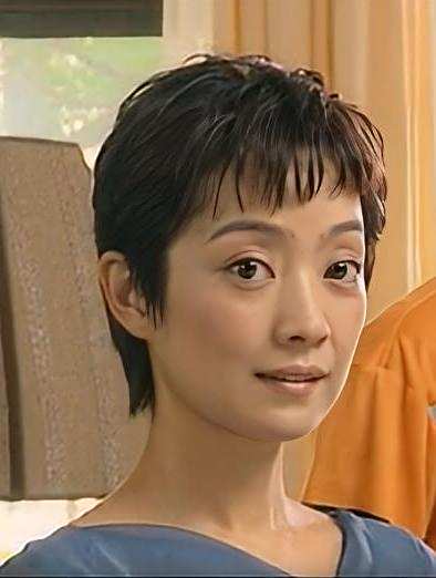 家風(2005年王慶祥主演的電視劇)