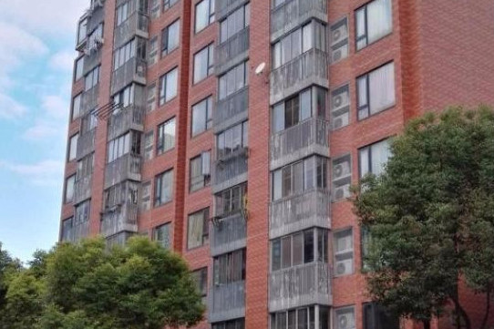 金色三林 金色三林