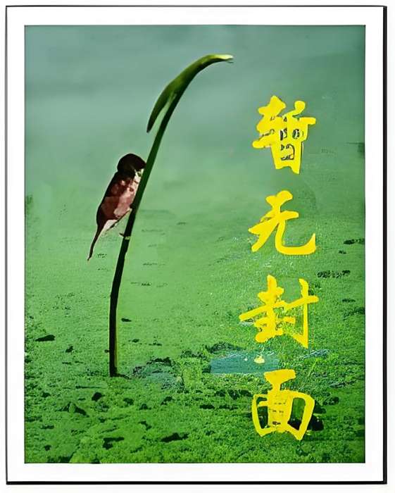 洪荒聖尊 洪荒聖尊