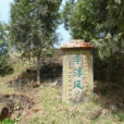 李淳風墓 李淳風墓