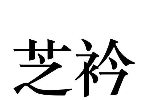 芝衿 芝衿