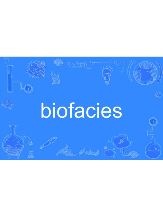 biofacies biofacies
