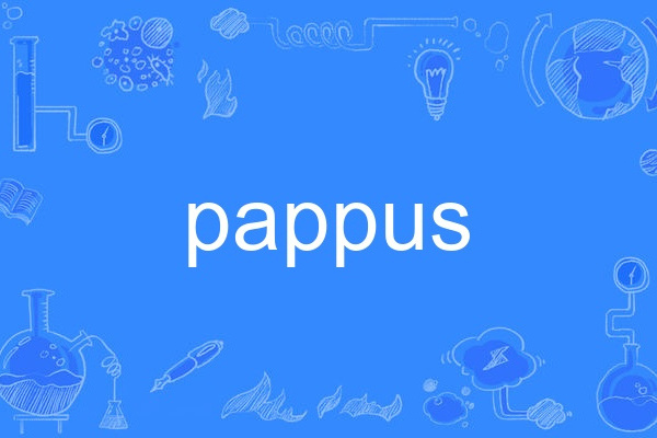 pappus pappus