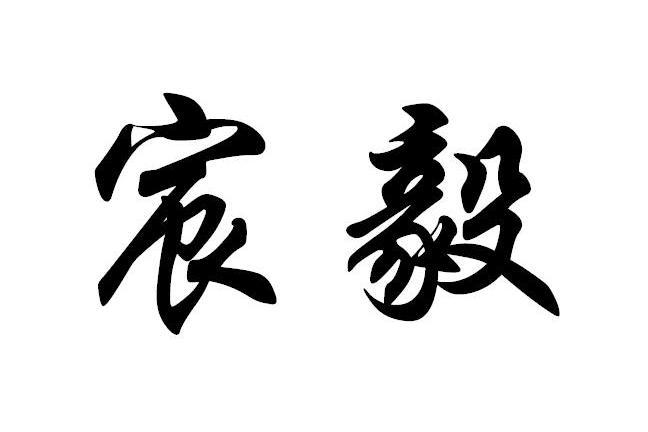 宸毅 宸毅