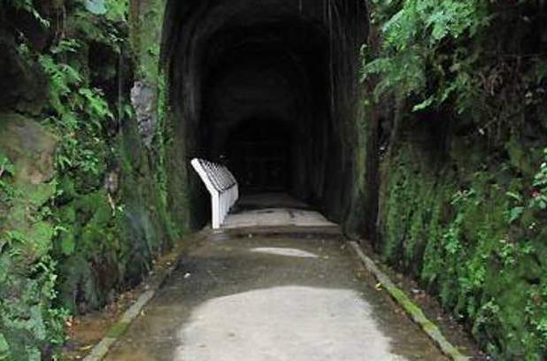 獅球嶺 獅球嶺
