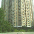 安琪大廈 安琪大廈