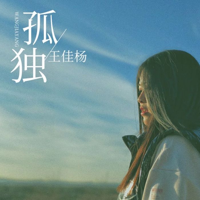 孤獨(2019年王佳楊演唱歌曲) 孤獨(2019年王佳楊演唱歌曲)