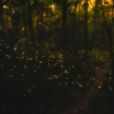夜光殿 夜光殿
