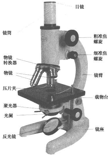 光學顯微鏡結構