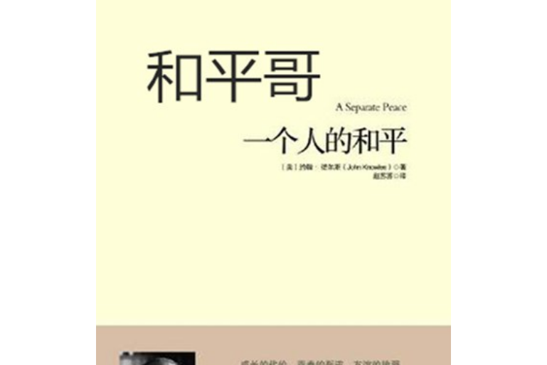 和平哥(2012年重慶出版社出版的圖書) 和平哥(2012年重慶出版社出版的圖書)
