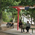 皇后村(河南省南陽市南召縣皇后鄉下轄村)