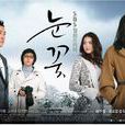 雪花(2006年韓國SBS電視劇) 雪花(2006年韓國SBS電視劇)
