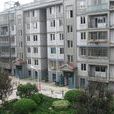 石塔社區(江蘇省揚州市廣陵區汶河街道下轄社區) 石塔社區(江蘇省揚州市廣陵區汶河街道下轄社區)