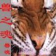 獸之魂 獸之魂