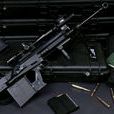 GM6山貓狙擊步槍