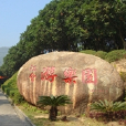 江會遊樂園 江會遊樂園