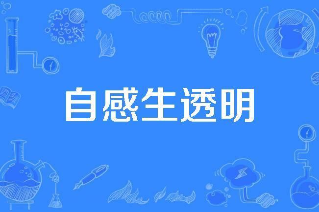 自感生透明 自感生透明