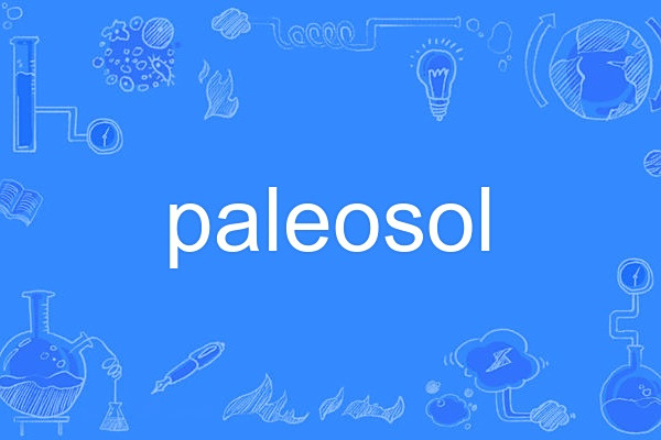 paleosol paleosol