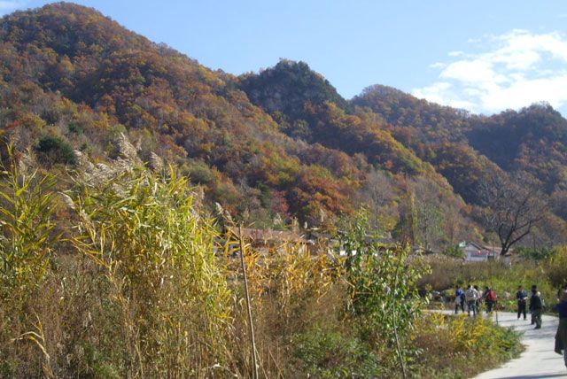 頭壩溝
