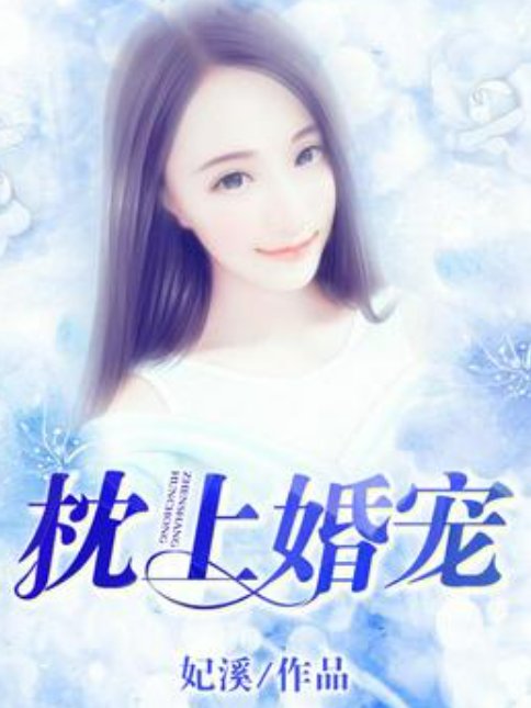 枕上婚寵(妃溪所著小說) 枕上婚寵(妃溪所著小說)